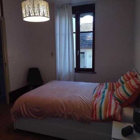 Appartement 1Er Etage Proche Des Termes Bourbonne-les-Bains Eksteriør bilde